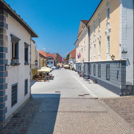 Vila Radolca Apartments & Rooms Radovljica Bagian luar foto