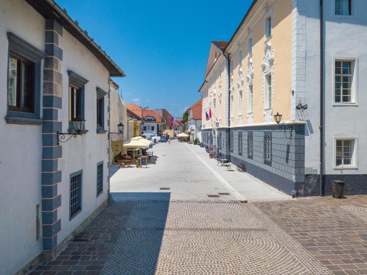 Vila Radolca Apartments & Rooms Radovljica Bagian luar foto